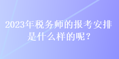 2023年稅務(wù)師的報考安排是什么樣的呢？