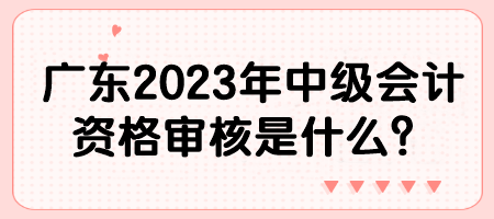 廣東2023年中級會計資格審核是什么？