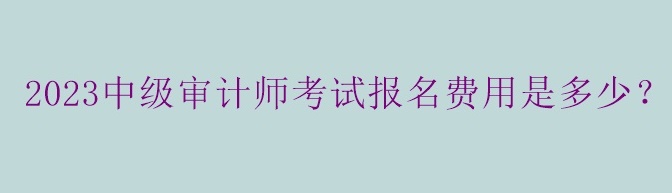 2023中級(jí)審計(jì)師考試報(bào)名費(fèi)用是多少？