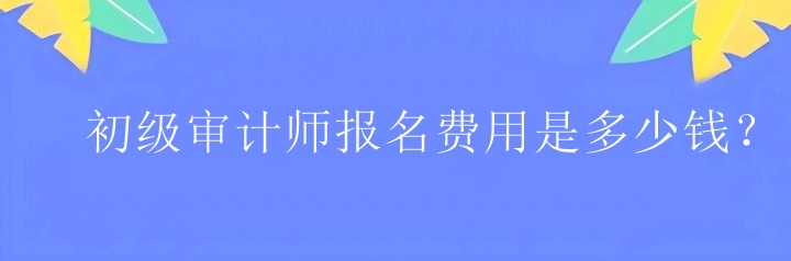 初級審計師報名費用是多少錢？