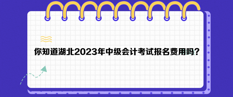 你知道湖北2023年中級會計考試報名費用嗎？