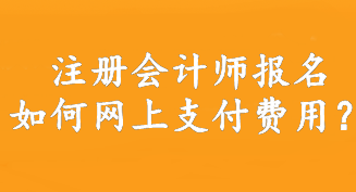 注冊會計師報名如何網上支付費用？