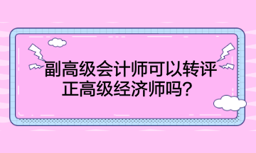 副高級(jí)會(huì)計(jì)師可以轉(zhuǎn)評正高級(jí)經(jīng)濟(jì)師嗎？