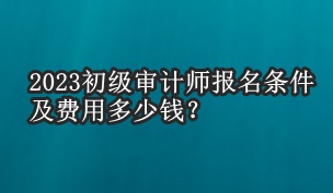 2023初級審計師報名條件及費用多少錢？