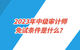 2023年中級審計師免試條件是什么？