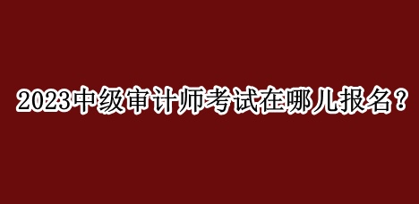 2023中級(jí)審計(jì)師考試在哪兒報(bào)名？