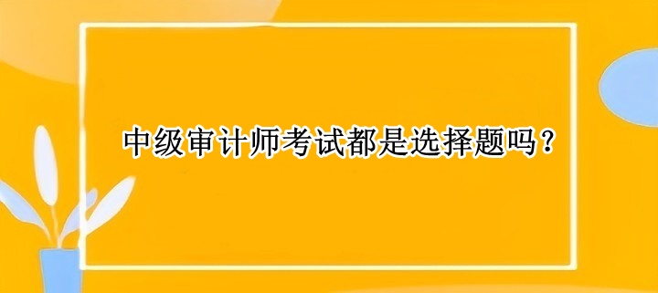 中級(jí)審計(jì)師考試都是選擇題嗎？