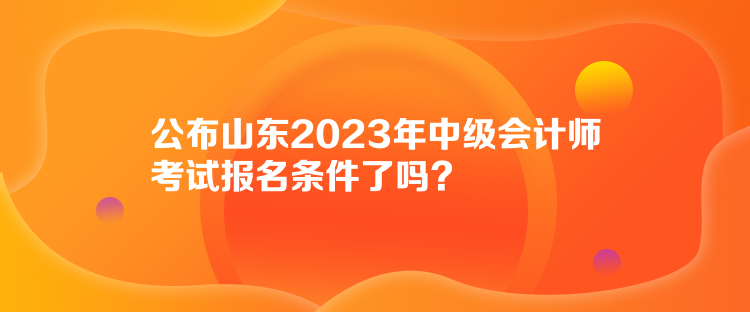 公布山東2023年中級(jí)會(huì)計(jì)師考試報(bào)名條件了嗎？