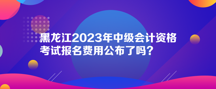 黑龍江2023年中級會計(jì)資格考試報(bào)名費(fèi)用公布了嗎？