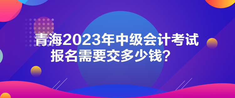 青海2023年中級(jí)會(huì)計(jì)考試報(bào)名需要交多少錢？