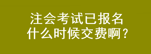 注會(huì)考試已報(bào)名 什么時(shí)候交費(fèi)啊？