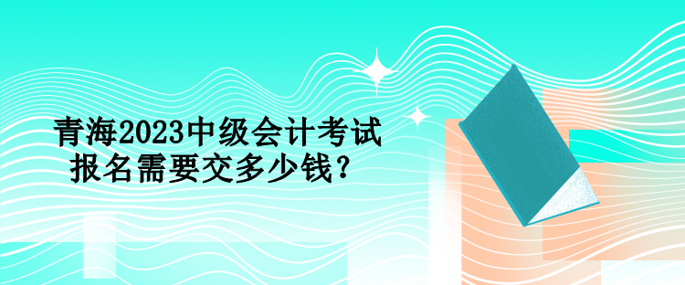 青海2023中級(jí)會(huì)計(jì)考試報(bào)名需要交多少錢？