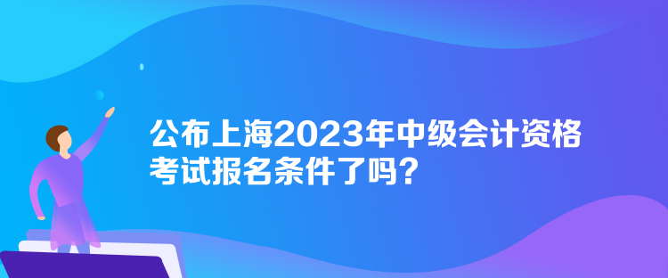 公布上海2023年中級(jí)會(huì)計(jì)資格考試報(bào)名條件了嗎？