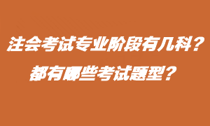 注會考試專業(yè)階段有什么考試題型？