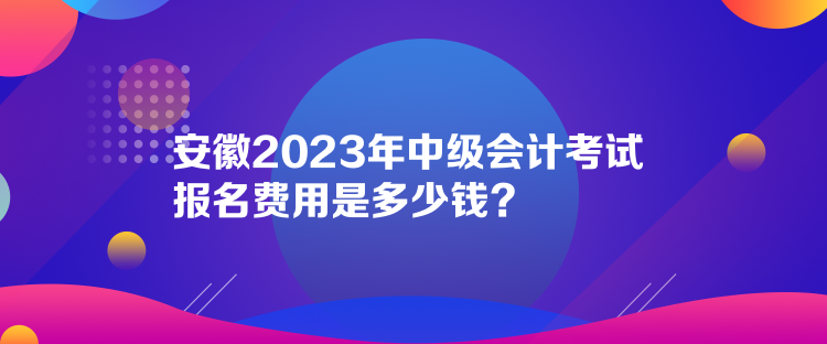 安徽2023年中級(jí)會(huì)計(jì)考試報(bào)名費(fèi)用是多少錢？