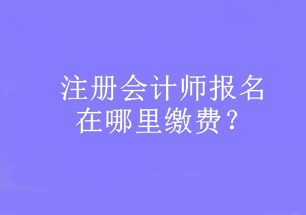 注冊(cè)會(huì)計(jì)師報(bào)名在哪里繳費(fèi)？