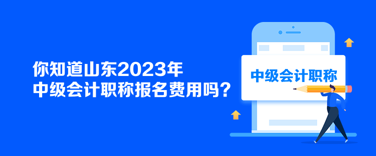 你知道山東2023年中級(jí)會(huì)計(jì)職稱報(bào)名費(fèi)用嗎？