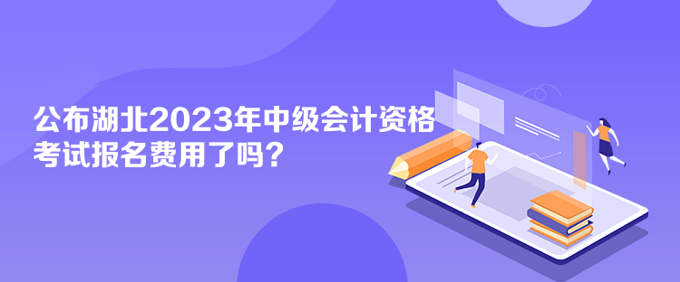 公布湖北2023年會計中級資格考試報名費(fèi)用了嗎？