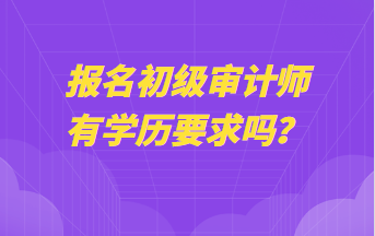 報(bào)名初級審計(jì)師有學(xué)歷要求嗎？