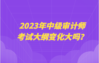 2023年中級審計師考試大綱變化大嗎？