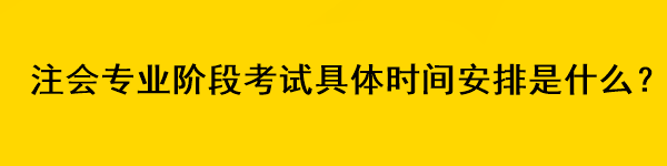 注會(huì)專業(yè)階段考試具體時(shí)間安排是什么？