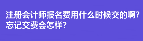 注冊(cè)會(huì)計(jì)師報(bào)名費(fèi)用什么時(shí)候交的?。客浗毁M(fèi)會(huì)怎樣？