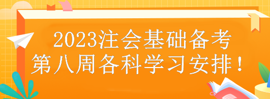 2023注會基礎(chǔ)備考第八周各科學(xué)習(xí)安排！