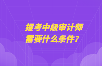 報考中級審計師需要什么條件？