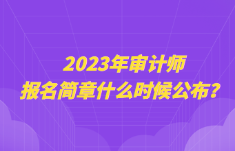 2023年審計(jì)師報(bào)名簡(jiǎn)章什么時(shí)候公布？