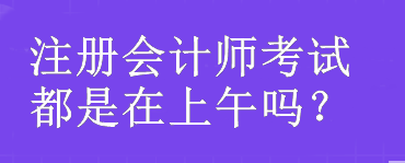 注冊會計師考試都是在上午嗎？