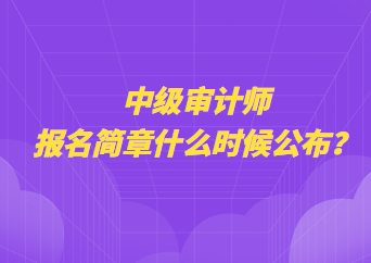 中級審計師報名簡章什么時候公布？