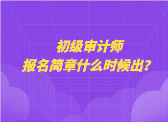 初級審計師報名簡章什么時候出？