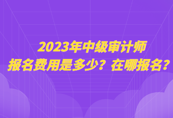 2023年中級審計(jì)師報(bào)名費(fèi)用是多少？在哪報(bào)名？