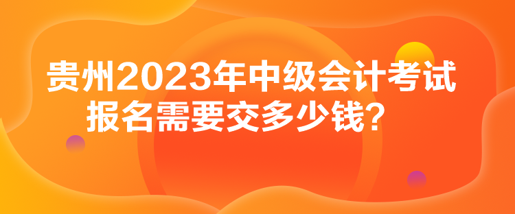 貴州2023年中級(jí)會(huì)計(jì)考試報(bào)名需要交多少錢？