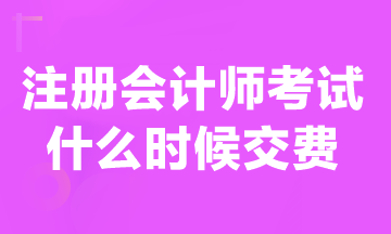 現(xiàn)在可以交注冊會計師報名費嗎？