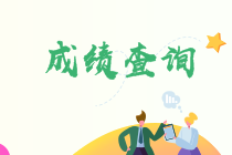 證券從業(yè)考試結(jié)束多久可以查成績？