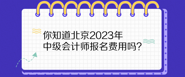 你知道北京2023年中級(jí)會(huì)計(jì)師報(bào)名費(fèi)用嗎？