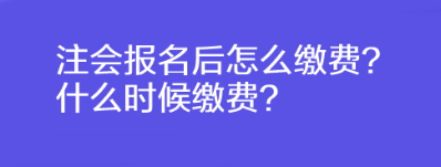 注會報名后怎么繳費？什么時候繳費？