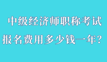 中級(jí)經(jīng)濟(jì)師職稱(chēng)考試報(bào)名費(fèi)用多少錢(qián)一年？