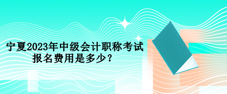 寧夏2023年中級(jí)會(huì)計(jì)職稱考試報(bào)名費(fèi)用是多少？