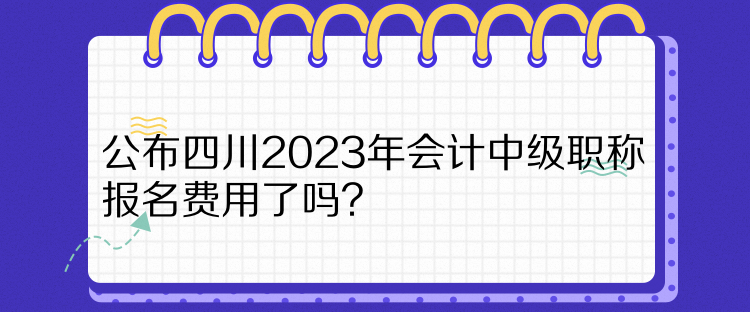 公布四川2023年會(huì)計(jì)中級(jí)職稱報(bào)名費(fèi)用了嗎？