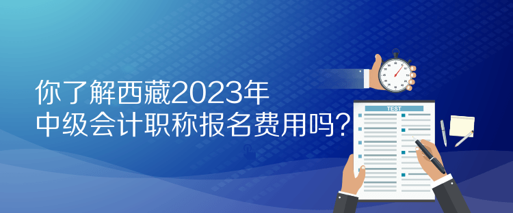 你了解西藏2023年中級(jí)會(huì)計(jì)職稱報(bào)名費(fèi)用嗎？