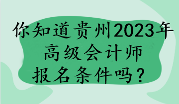 你知道貴州2023年高級(jí)會(huì)計(jì)師報(bào)名條件嗎？