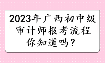 2023年廣西初中級(jí)審計(jì)師報(bào)考流程你知道嗎？