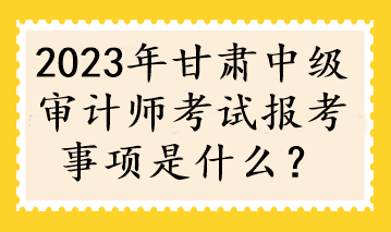 2023年甘肅中級審計師考試報考事項是什么？