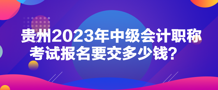 貴州2023年中級會計職稱考試報名要交多少錢？