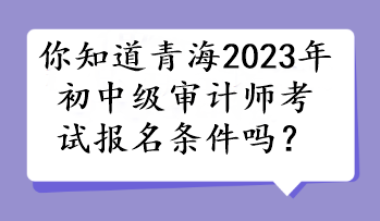 你知道青海2023年初中級審計師考試報名條件嗎？