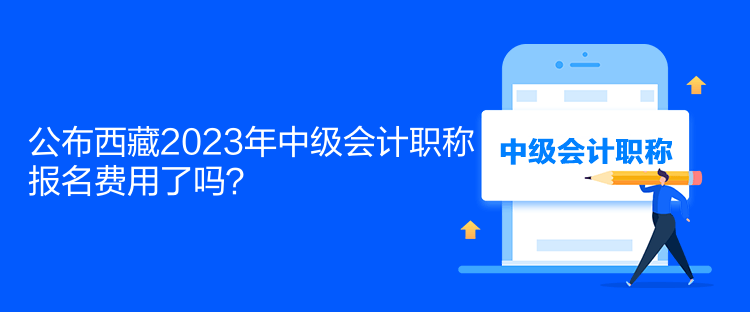 公布西藏2023年中級(jí)會(huì)計(jì)職稱報(bào)名費(fèi)用了嗎？