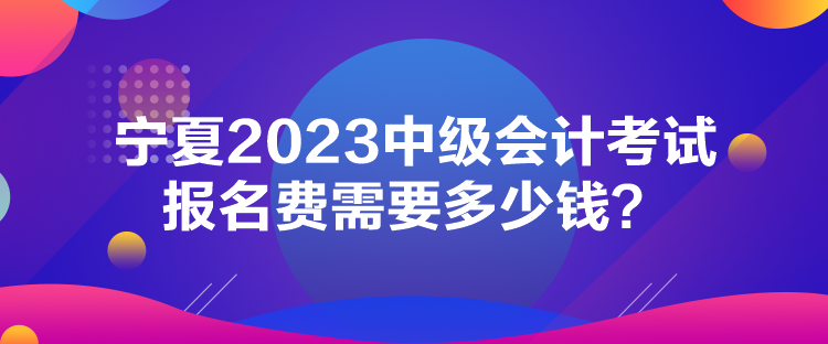 寧夏2023中級(jí)會(huì)計(jì)考試報(bào)名費(fèi)需要多少錢(qián)？