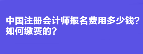 中國注冊會計師報名費用多少錢？如何繳費的？